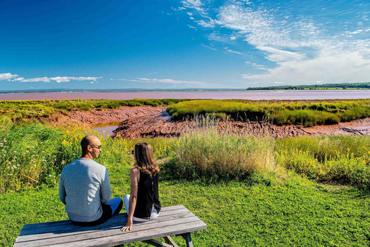 Social Return on Investment in the Tourism Sector