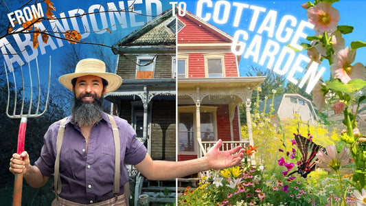 4 Years to a Cottage Garden
